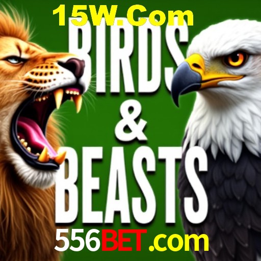 A Experiência Imersiva dos Cassinos Ao Vivo no 556bet.com