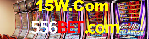 556bet